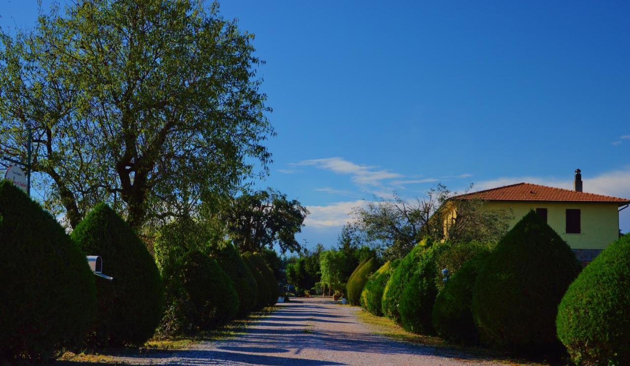 Agriturismo Il Cuscino Nel Pagliaio Alloggio per agriturismo Campiglia Marittima