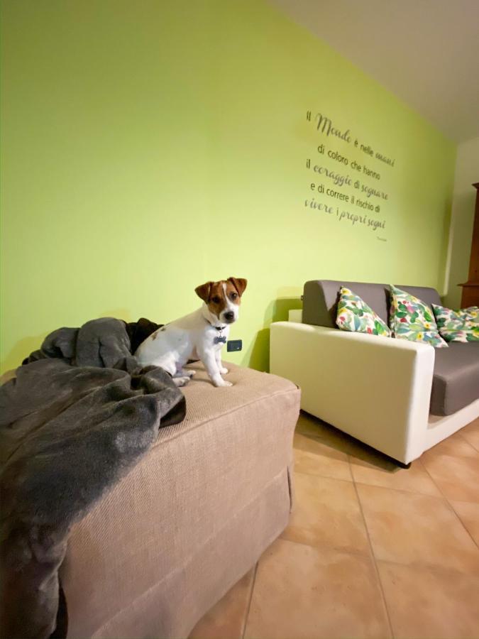 Agriturismo Il Cuscino Nel Pagliaio * Campiglia Marittima