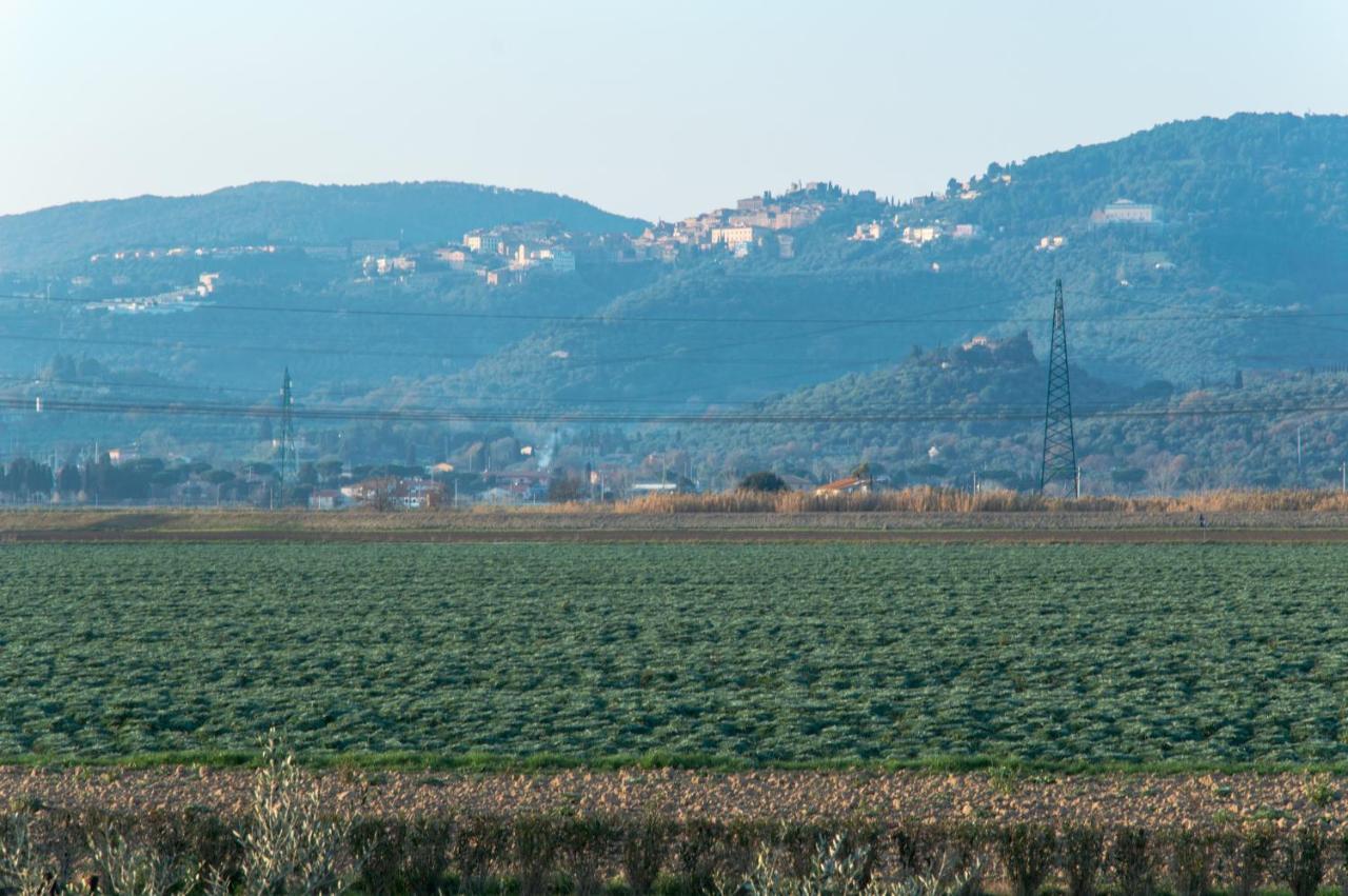Il Cuscino Nel Pagliaio * Campiglia Marittima