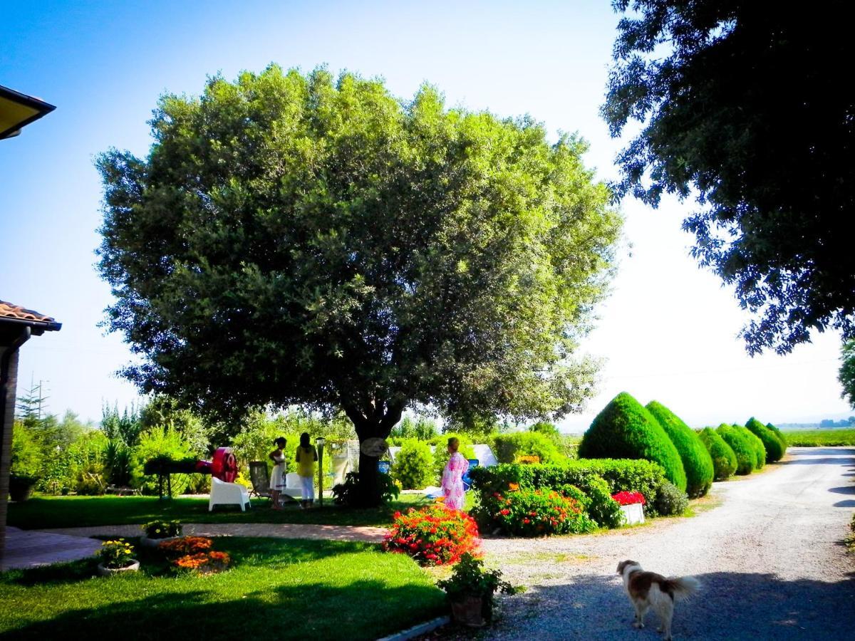 Il Cuscino Nel Pagliaio Bauernhof Campiglia Marittima