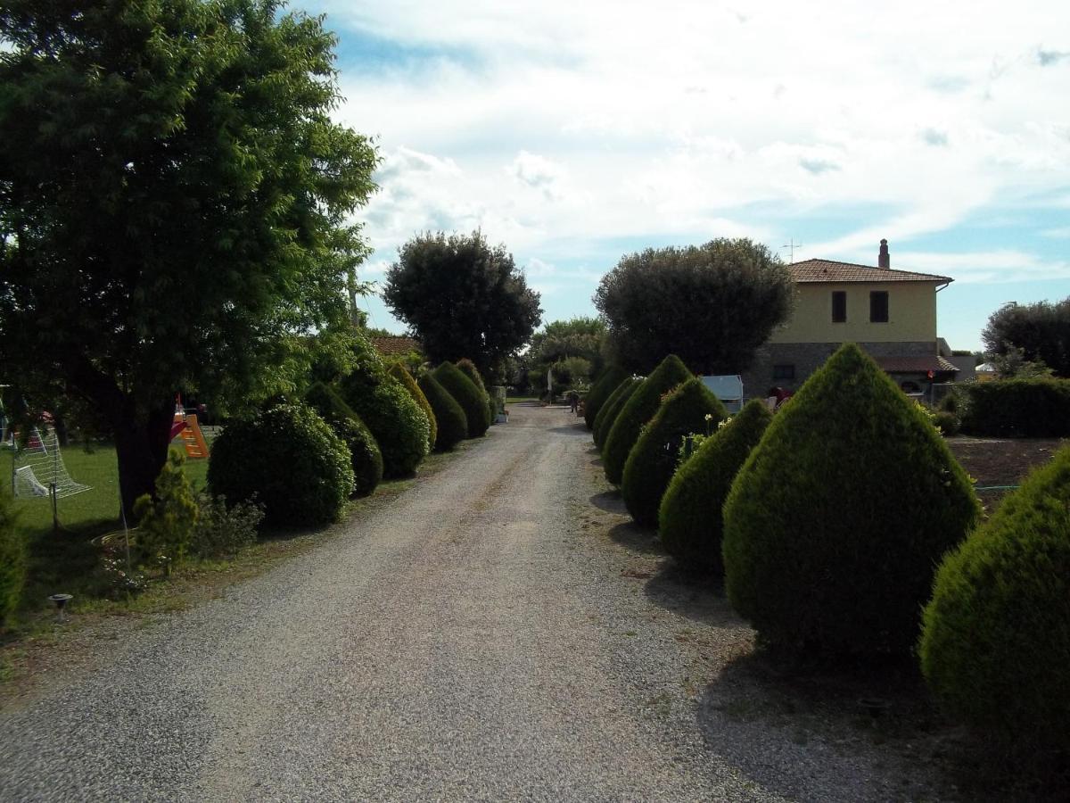 Bauernhof Il Cuscino Nel Pagliaio
